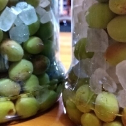 小さめの梅の実ですが大量に取れたので瓶２つ分仕込みました。
美味しくな〜れ！